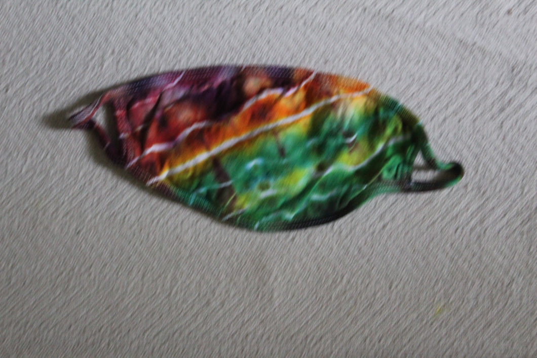 Cloth Face Mask